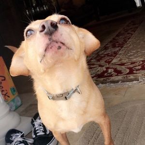 Meet your Posher, Liana